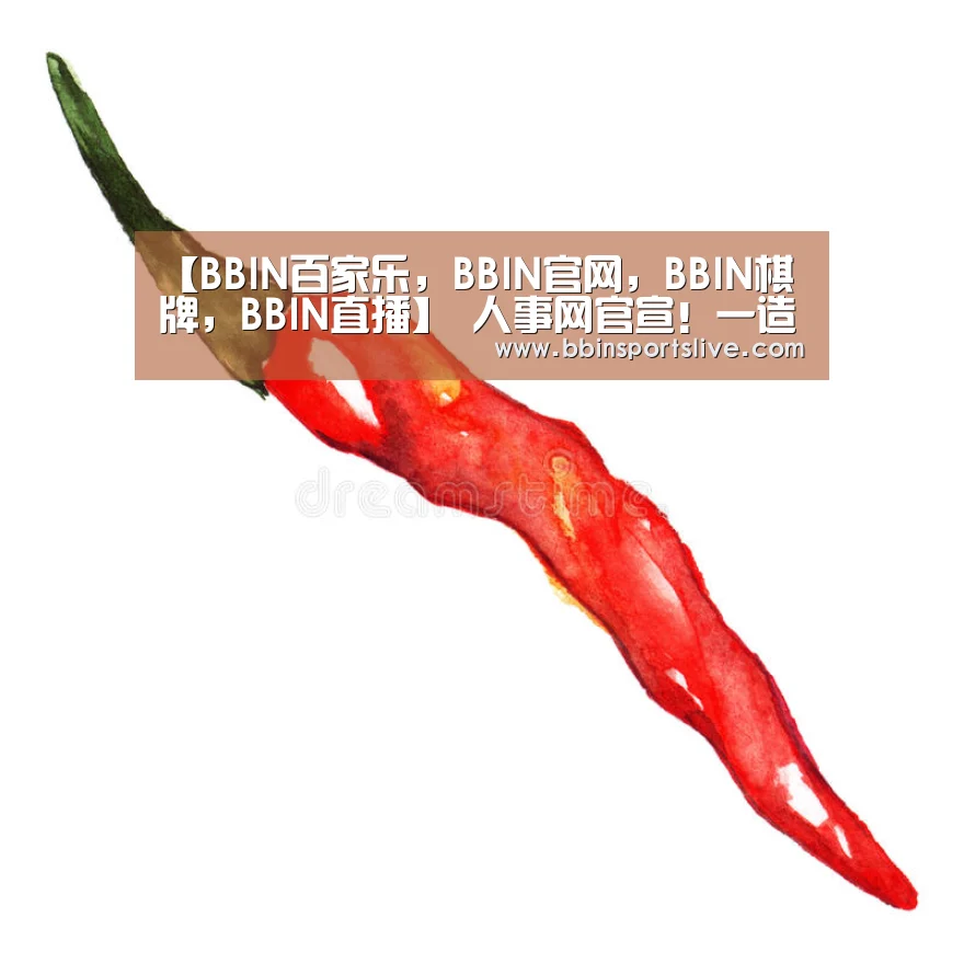 【BBIN百家乐,BBIN官网,BBIN棋牌,BBIN直播】
人事网官宣!一造考