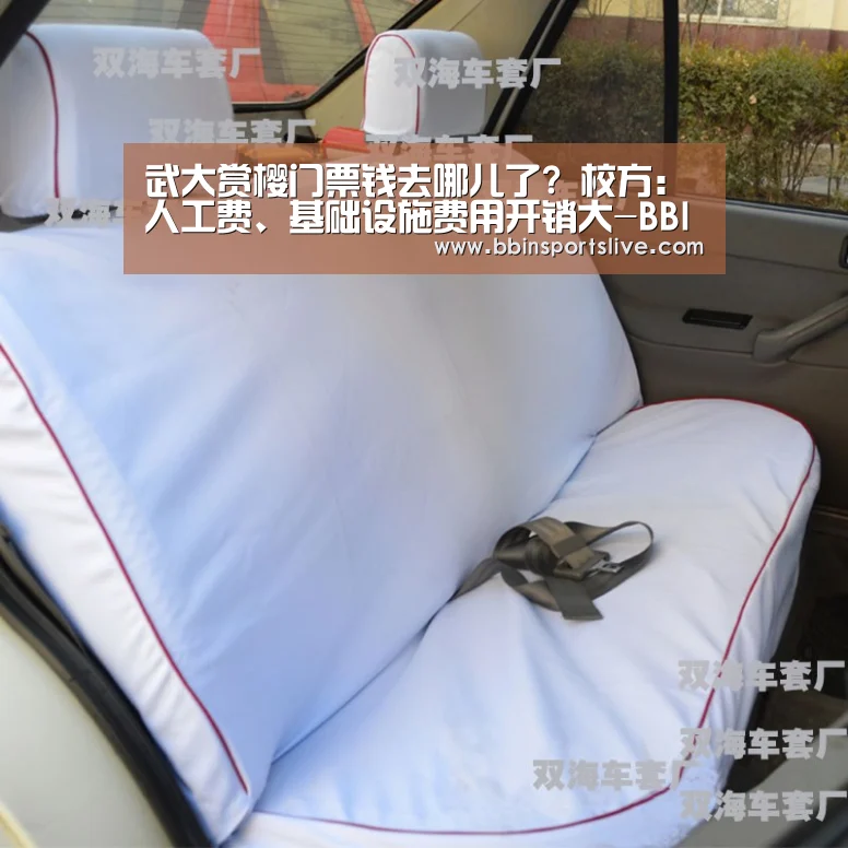 武大赏樱门票钱去哪儿了? 校方:人工费、基础设施费用开销大-BBIN百家乐,BBIN官网,BBIN棋牌,BBIN直播(图2) BBIN百家乐,BBIN官网,BBIN棋牌,BBIN直播