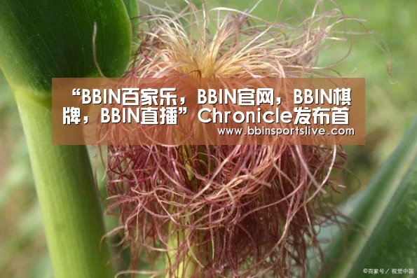 “BBIN百家乐,BBIN官网,BBIN棋牌,BBIN直播”Chronicle发布首款信息安全商用产品 未来中国安全信息市场集中度将提升(图1) BBIN百家乐,BBIN官网,BBIN棋牌,BBIN直播