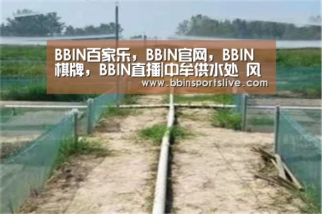 BBIN百家乐，BBIN官网，BBIN棋牌，BBIN直播