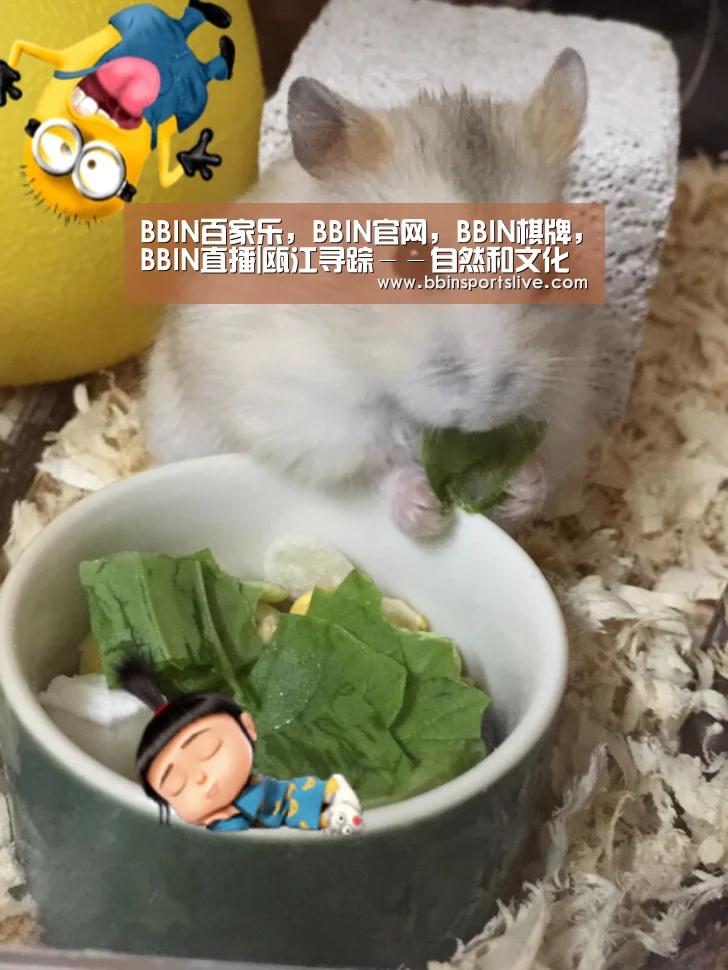 BBIN百家乐,BBIN官网,BBIN棋牌,BBIN直播|瓯江寻踪--自然和文化的融合(图3) BBIN百家乐,BBIN官网,BBIN棋牌,BBIN直播