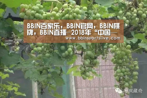 BBIN百家乐，BBIN官网，BBIN棋牌，BBIN直播