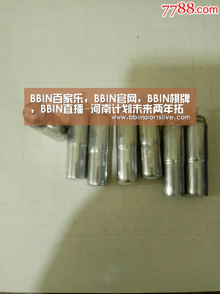 BBIN百家乐,BBIN官网,BBIN棋牌,BBIN直播-河南计划未来两年拓展300个农村旅游项目(图2) BBIN百家乐,BBIN官网,BBIN棋牌,BBIN直播
