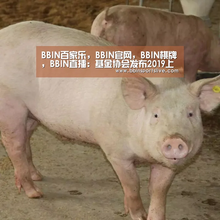 BBIN百家乐,BBIN官网,BBIN棋牌,BBIN直播:基金协会发布2019上半年私募基金排行榜 赛亚资本、天贝合资产及林园投资位列前三(图2) BBIN百家乐,BBIN官网,BBIN棋牌,BBIN直播
