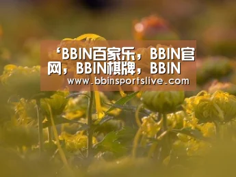 BBIN百家乐，BBIN官网，BBIN棋牌，BBIN直播