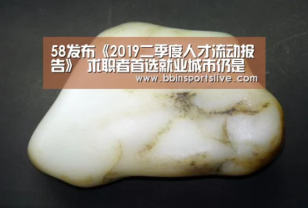 58发布《2019二季度人才流动报告》 求职者首选就业城市仍是北上广深四大一线城市-BBIN百家乐,BBIN官网,BBIN棋牌,BBIN直播(图2) BBIN百家乐,BBIN官网,BBIN棋牌,BBIN直播