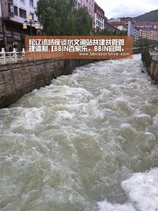 松辽流域座谈水文测站共建共管管理体制【BBIN百家乐,BBIN官网,BBIN棋牌,BBIN直播】(图3) BBIN百家乐,BBIN官网,BBIN棋牌,BBIN直播